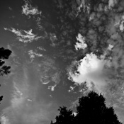 wolk2